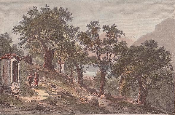 Monte Ceneri verso il lago Maggiore 1882