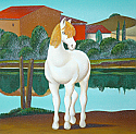 Cavallino bianco
